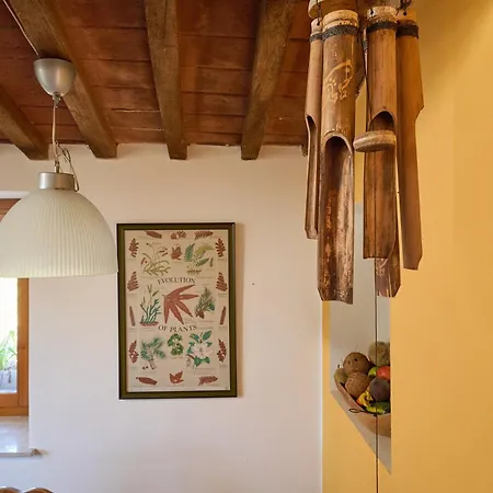 Casa De Alan Campiglia Marittima